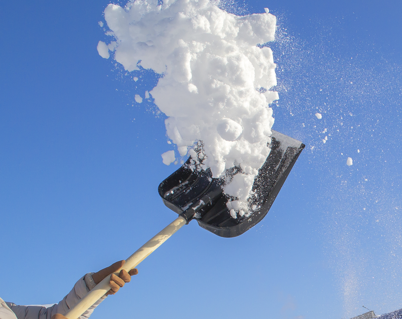 LC-00105000-Лопата-для-снега-Люкс-с-черенком---Shovel-with-handle-(черный)-black-3.png