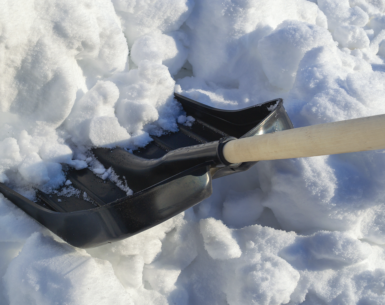 LC-00105000-Лопата-для-снега-Люкс-с-черенком---Shovel-with-handle-(черный)-black-2.png