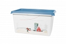 Container Christmas 6,0 L